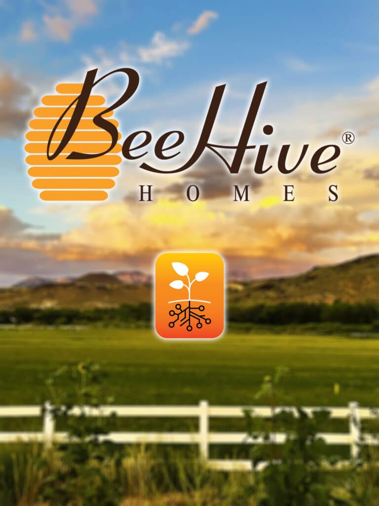BeeHive Homes Digital Marketing Coordination